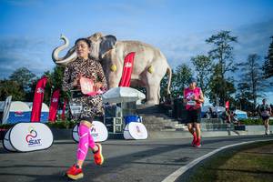 BIB: 
                            <button type="button" onclick="openModal(26541746)" class="btn btn-primary btn-sm float-right btn-popup" data-toggle="modal" data-target=".modal-high-quality">
                        <i class="fas fa-shopping-cart"></i> Add to Cart
                    </button>
                                            <button type="button" onclick="isThisMe(26541746, true)" class="btn btn-success btn-sm float-right btn-popup btn-isme hidden" data-toggle="tooltip" data-placement="bottom" title="นี่คือรูปของคุณใช่ไหม คลิกที่นี่เพื่อเอาเข้าอัลบั้ม">
                        <i class="fas fa-plus"></i> Add to album
                    </button>
                    <button type="button" onclick="isThisMe(26541746, false)" class="btn btn-warning btn-sm float-right btn-popup btn-isnotme hidden">
                        <i class="fas fa-ban"></i> Remove from album
                    </button>